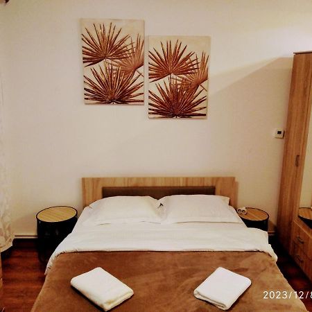 Tampa Studio Braşov Extérieur photo